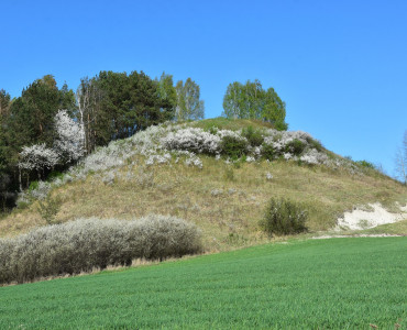 W trosce o obszar Natura 2000 Horodysko