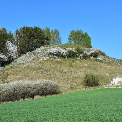 W trosce o obszar Natura 2000 Horodysko