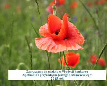 Zapraszamy do udziału w VI edycji konkursu „Spotkania z przyrodą im. Jerzego Ostaszewskiego