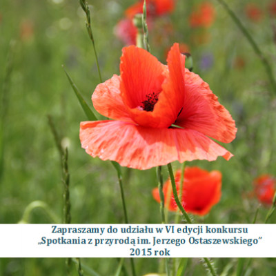 Zapraszamy do udziału w VI edycji konkursu „Spotkania z przyrodą im. Jerzego Ostaszewskiego