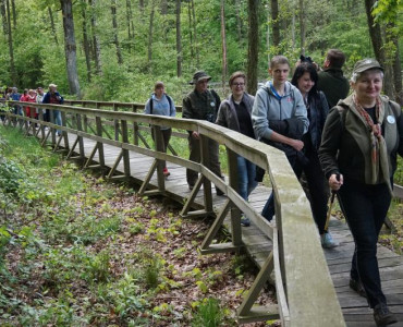 POGÓRNICZE JEZIORO, ZAROŚNIĘTE BAJORO I GNIAZD PTASICH SIŁA CZYLI CO CIEKAWEGO MOŻNA ZOBACZYĆ W PARKU KRAJOBRAZOWYM „POJEZIERZE ŁĘCZYŃSKIE”