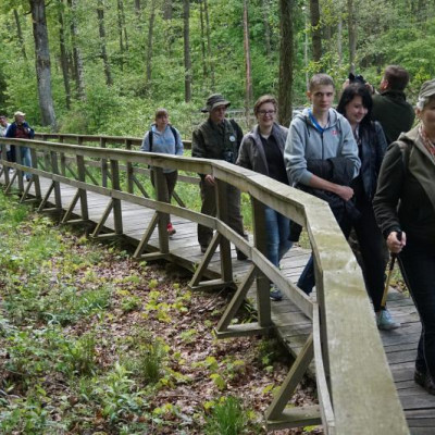 POGÓRNICZE JEZIORO, ZAROŚNIĘTE BAJORO I GNIAZD PTASICH SIŁA CZYLI CO CIEKAWEGO MOŻNA ZOBACZYĆ W PARKU KRAJOBRAZOWYM „POJEZIERZE ŁĘCZYŃSKIE”