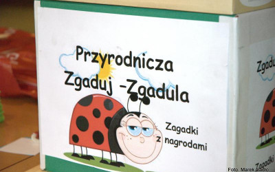 Obraz z galerii