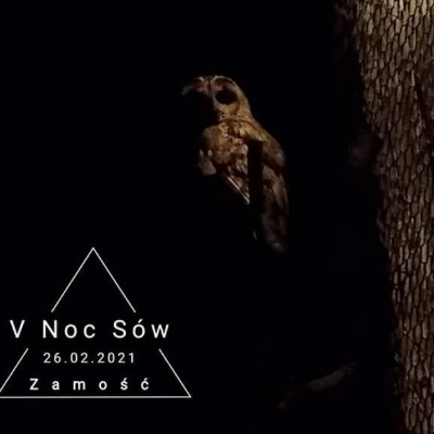 NOC SÓW W ZAMOŚCIU