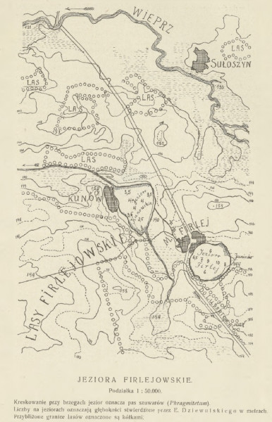 Jeziora firlejowskie. Rycina z 1918 roku