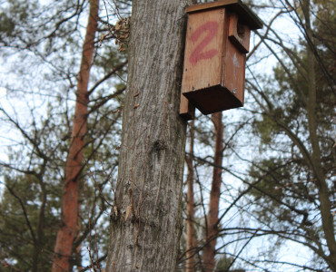 CZYŚCIMY BUDKI W STRZELECKIM PARKU KRAJOBRAZOWYM
