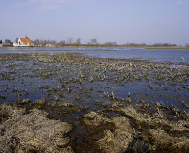 Jeziorzany nad Wieprzem – lubelska Biebrza