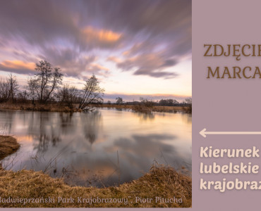 Krajobrazowe zdjęcie marca wybrane!